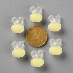 Transparent Acrylic Beads&nbsp;LS-TACR-S152-12C-SS2105