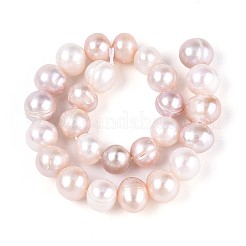Natural Cultured Freshwater Pearl Beads Strands&nbsp;PEAR-T006-11