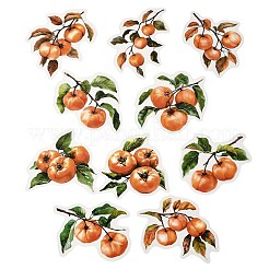 10Pcs Fruit PET Self-Adhesive Stickers&nbsp;DIY-K074-08F