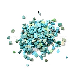 Dyed & Heated Natural Magnesite Chip Beads&nbsp;G-L453-01