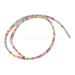 Natural Freshwater Shell Beads Strands&nbsp;SHEL-P017-02
