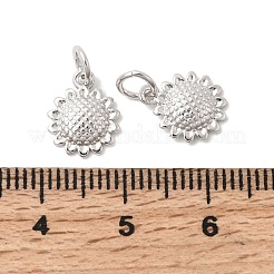 Brass Pendants&nbsp;KK-F929-11A-P