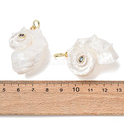Natural Couch Shell Pendants&nbsp;SH-CBAB405-02G