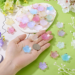 120Pcs 8 Colors Acrylic Bead Caps&nbsp;MACR-TA0002-59