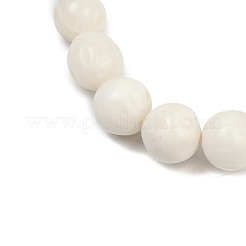 Natural White Shell Beads Strands&nbsp;BSHE-U002-01