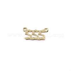 Alloy Pendants&nbsp;PALLOY-TAC0023-38B-02