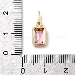 Brass with Cubic Zirconia Pendants&nbsp;KK-F916-10G-01