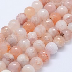 Natural Cherry Blossom Agate Beads Strands&nbsp;G-I206-01-10mm