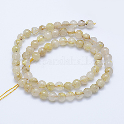 Natural Gold Rutilated Quartz Beads Strands&nbsp;G-P336-20-6mm