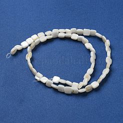 Natural Freshwater Shell Beads Strands&nbsp;SHEL-C005-05
