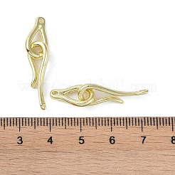 Brass Hook and Eye Clasps&nbsp;LS-KK-B087-18G