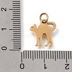 304 Stainless Steel Charms&nbsp;SA-CBAF171-05G