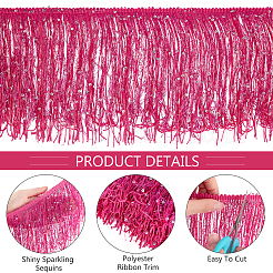5M Paillette Tassel Polyester Ribbon Trim&nbsp;OCOR-BC0006-56C