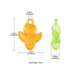 50g Transparent Acrylic Pendants&nbsp;TACR-YW0001-69