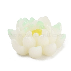 Two Tone Opaque Resin Decoden Cabochons&nbsp;RESI-K042-01F