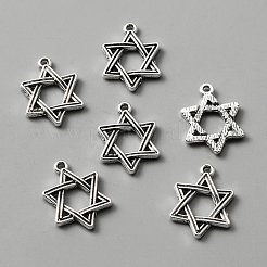 Tibetan Style Alloy Pendants&nbsp;FIND-CJC0012-045