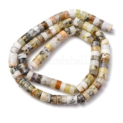 Natural Yellow Opal Beads Strands&nbsp;G-Z006-C41