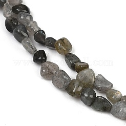 Natural Labradorite Beads Strands&nbsp;G-Q060-D02