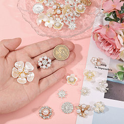 48Pcs 12 Styles Alloy Glass Rhinestone Cabochons&nbsp;FIND-CA0011-02