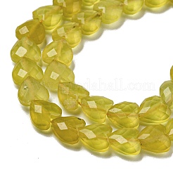 Grade A Natural Jade Beads Strands&nbsp;G-P544-E12-01