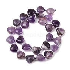 Natural Amethyst Beads Strands&nbsp;G-NH0069-A07