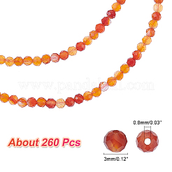 2 Strands Natural Carnelian Beads Strands&nbsp;G-NB0004-20