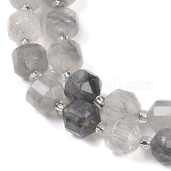 Natural Cloudy Quartz Beads Strands&nbsp;G-O201B-115F