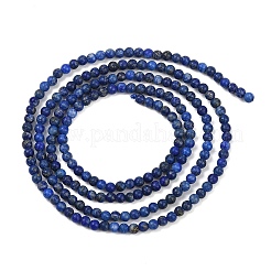 Natural Lapis Lazuli Beads Strands&nbsp;G-L628-A01-2mm-01