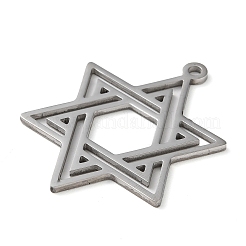 Non-Tarnish 304 Stainless Steel Pendants&nbsp;LS-STAS-R116-01P