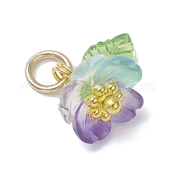 Transparent Resin & Acrylic Pendants&nbsp;PALLOY-JF04358