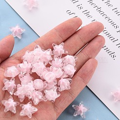 Transparent Acrylic Beads&nbsp;TACR-S152-11A-08