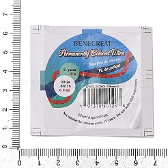Paper Stickers&nbsp;AJEW-XCP0003-66