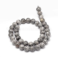 Natural Map Stone Beads Strands&nbsp;G-P075-15-10mm