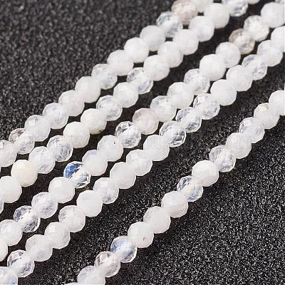Natural Rainbow Moonstone Bead Strand&nbsp;G-G680-24-1
