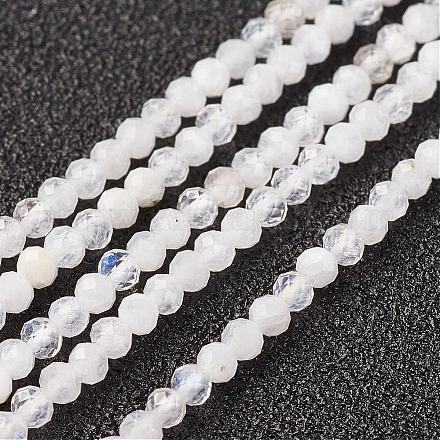 Natural Rainbow Moonstone Bead Strand G-G680-24-1