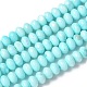 Natural Freshwater Shell Beads Strands&nbsp;SSHEL-C013-07B-1