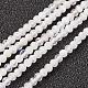 Natural Rainbow Moonstone Bead Strand&nbsp;G-G680-24-1