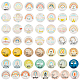 Glass Cabochons&nbsp;GGLA-PH0001-43A-1