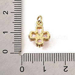 Brass Micro Pave Cubic Zirconia Pendants&nbsp;KK-V008-11G-06