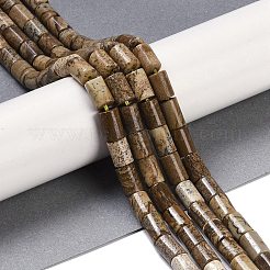 Natural Picture Jasper Beads Strands&nbsp;G-C128-A29-01