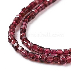 Natural Garnet Beads Strands&nbsp;G-P457-B01-22-A