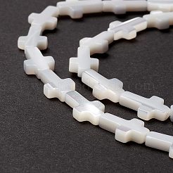 Natural Trochid Shell/Trochus Shell Beads&nbsp;SSHEL-O0001-22A
