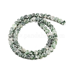 Natural Green Spot Jasper Beads Strands&nbsp;G-M403-A22-02