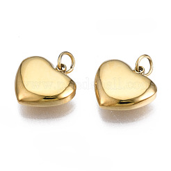 316 Surgical Stainless Steel Charms&nbsp;STAS-N097-045