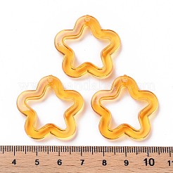 Transparent Acrylic Beads&nbsp;LS-MACR-S373-24-B05