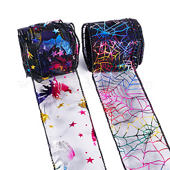 2 Rolls 2 Styles Halloween Theme Polyester Ribbons&nbsp;OCOR-TA0002-20