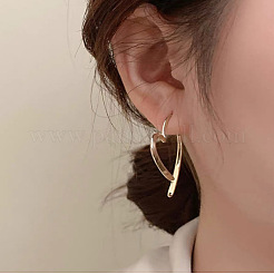 Alloy Stud Earrings&nbsp;FS-WG0F396-01