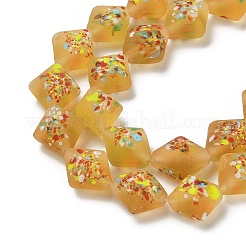 Frosted Handmade Lampwork Beads Strands&nbsp;LAMP-A010-01E