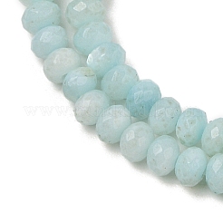 Natural Freshwater Shell Dyed Beads Strands&nbsp;SHEL-R100-13A-02