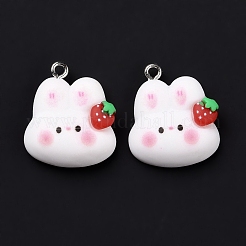 Resin Pendants&nbsp;X-RESI-M026-09
